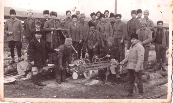 Muncitori de la Fabrica de prelucrare a lemnului din Hodoșa; fotografie din proiectul “Fotografia etnografică de familie - mărturie vizuală a culturii și civilizației tradiționale” (2023-2024). MNCR