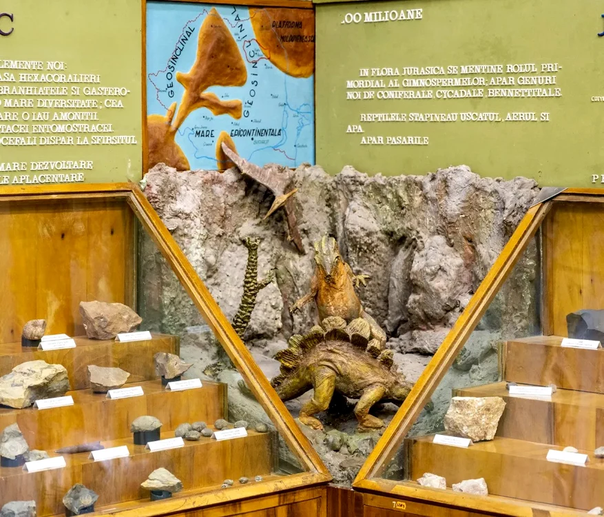 Exponate la Muzeul de Științe Naturale FOTO Complexul Muzeal Neamț