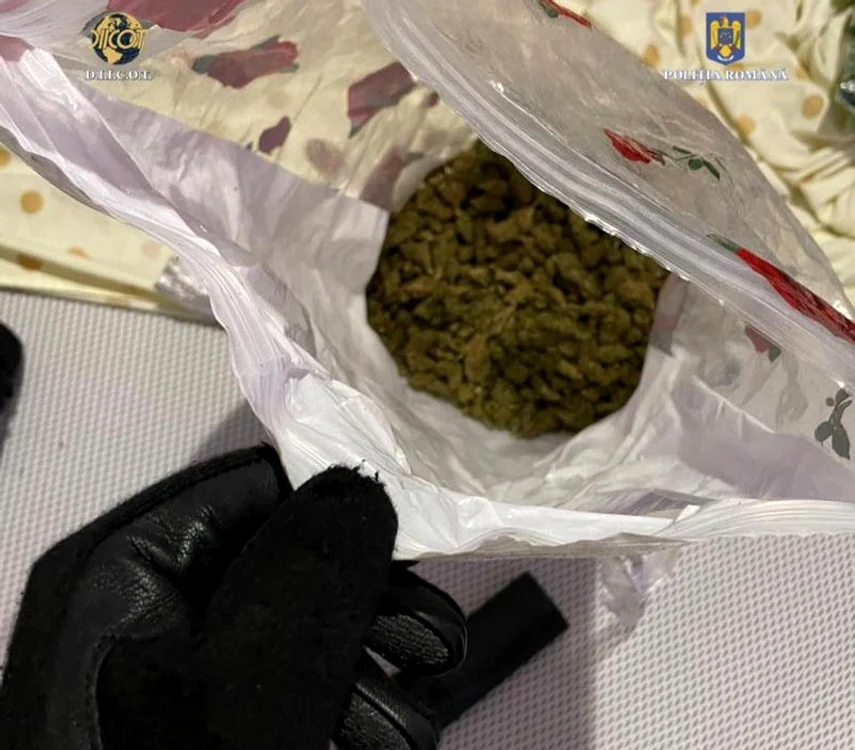 Droguri descoperite la percheziții FOTO DIICOT