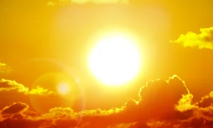 Caldura canicula vara FOTO Shutterstock