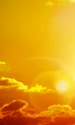 Caldura canicula vara FOTO Shutterstock