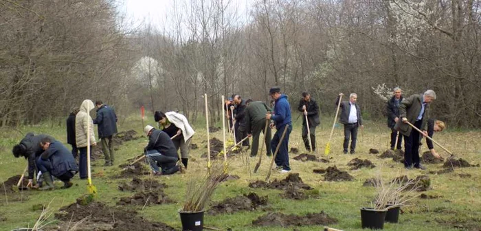 Acţiunea de plantare a avut loc în Crângul Petreşti