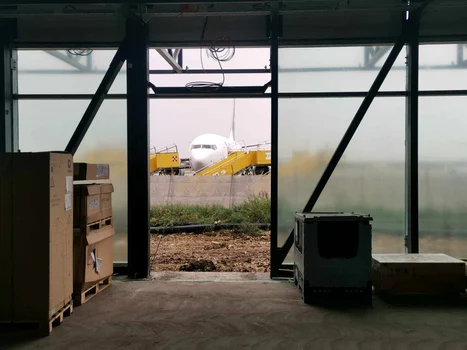 Construcția noului terminal de pe Aeroportul Timișoara FOTO Ștefan Both