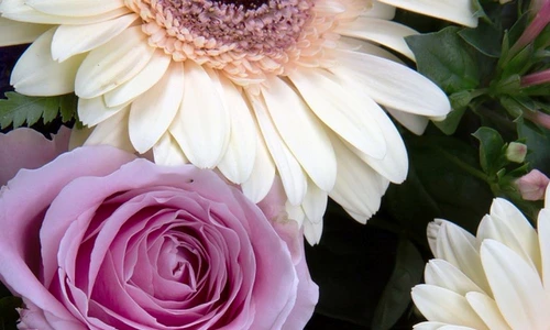 1 72469 original jpg jpeg