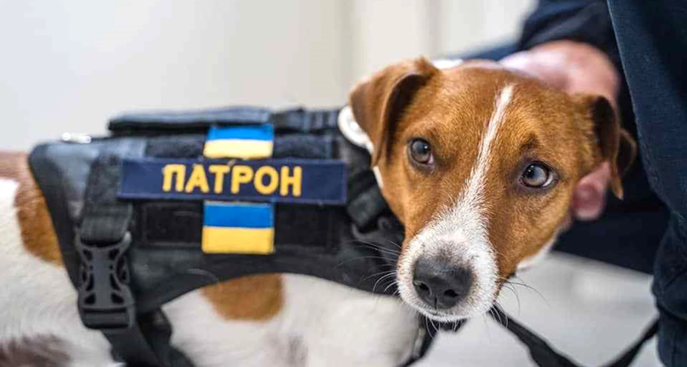 Foto: Dsns.gov.ua