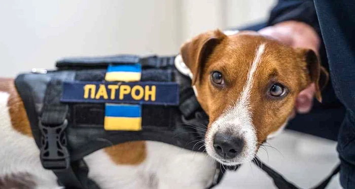 Foto: Dsns.gov.ua
