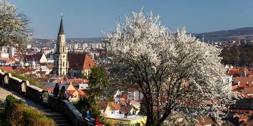 Imagine de pe Cetatuie Cluj Napoca foto visit cluj jpg