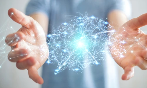 1 shutterstock 1007828362 jpg jpeg