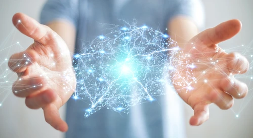 1 shutterstock 1007828362 jpg jpeg