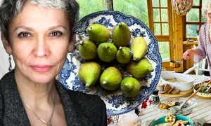 banner oana pellea jpg