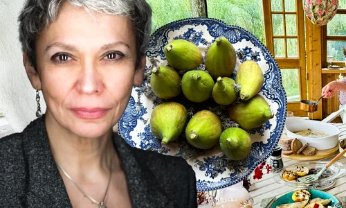 banner oana pellea jpg