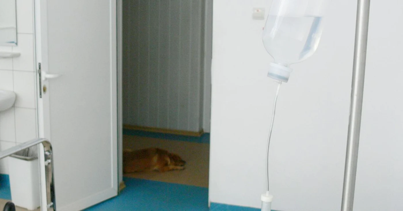 DSP Dâmboviţa va demara o anchetă la spital