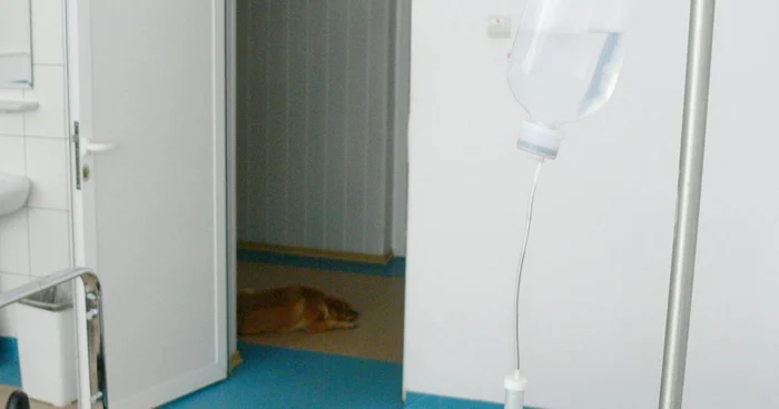 DSP Dâmboviţa va demara o anchetă la spital