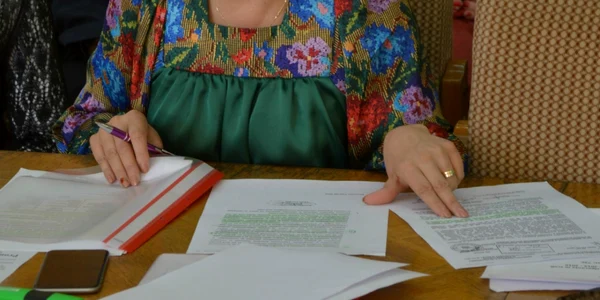 gabriela placinta
