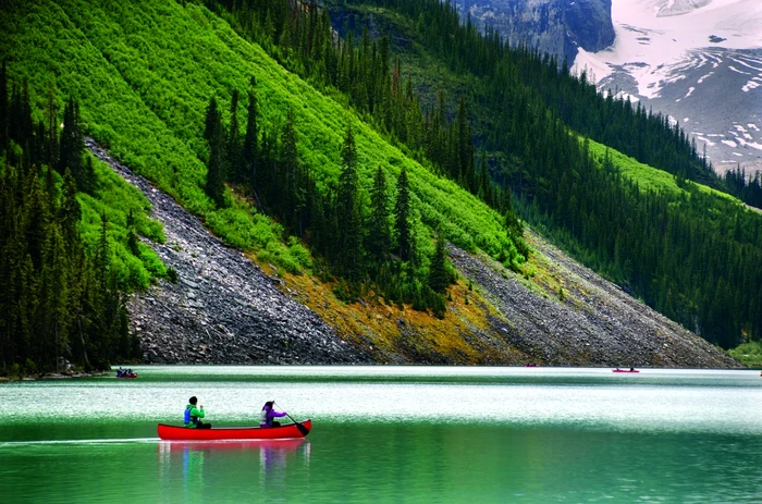 Vâslind pe Lake Louise