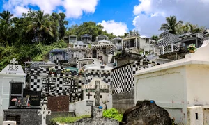 cimitir sah profiemdia (2) jpg