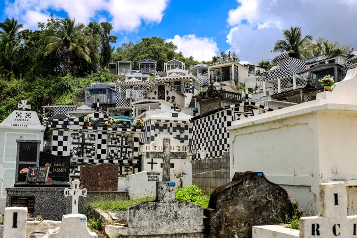 Cavourile arată ca niște mici case (Foto: Profimedia)