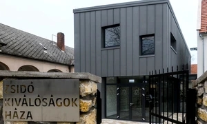 Simulacrul maghiar al Holocaustului jpeg