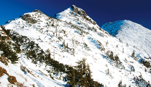 7347637eaa61995bbe1265f5f92e143a jpg jpeg