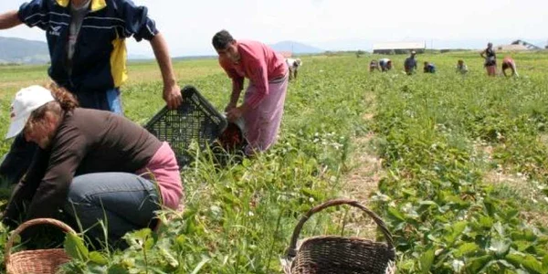 Muncitorii autonomi nu au nevoie de permis de muncă