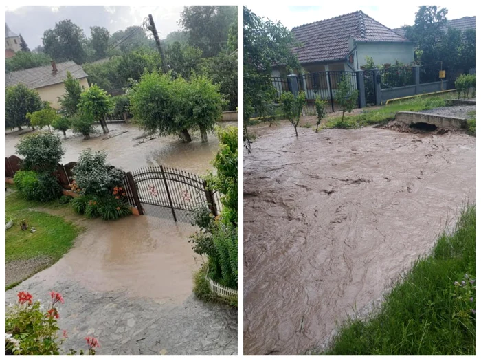 inundatii alba