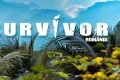 Survivor Romania webp