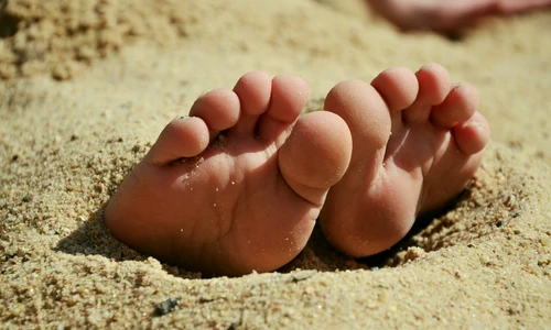 1 feet 717507 1920 jpg jpeg