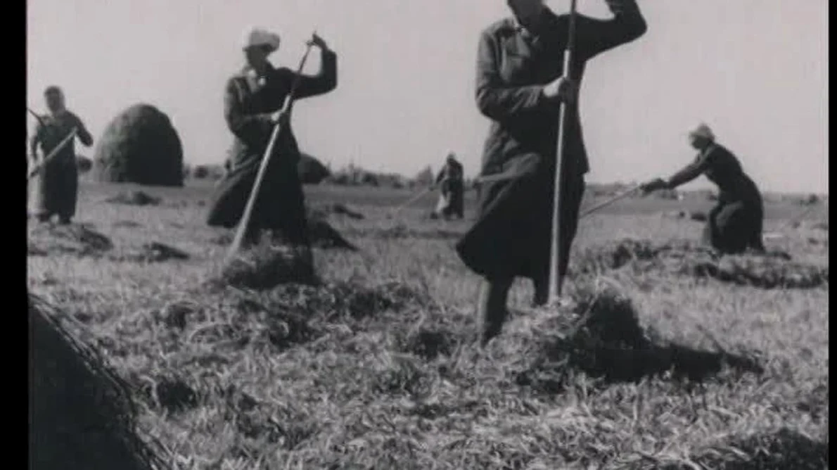 Eficienţa şi agricultura în era roşie jpeg