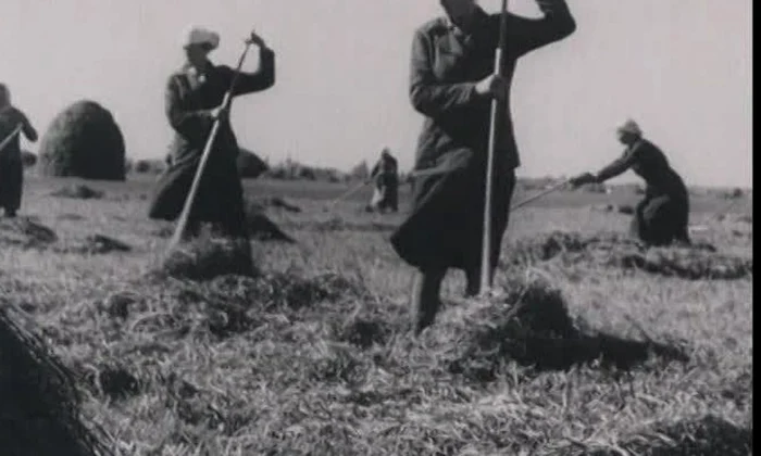Eficienţa şi agricultura în era roşie jpeg