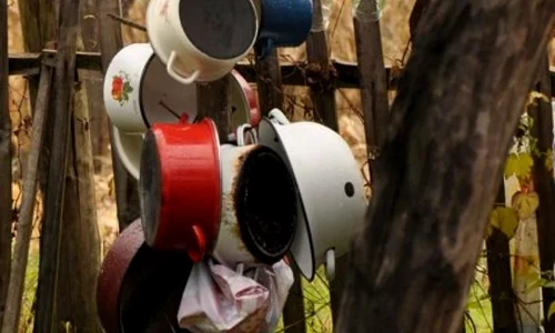 Idiotul Dănilă Prepeleac jpeg