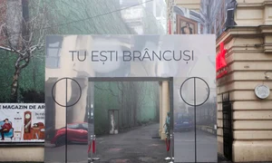 595cfd08 b7e2 4d17 9b4c f5cc5af2069e jpg