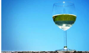 vin hidromelul jpg