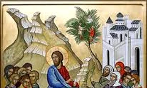 florii images 0 jpeg