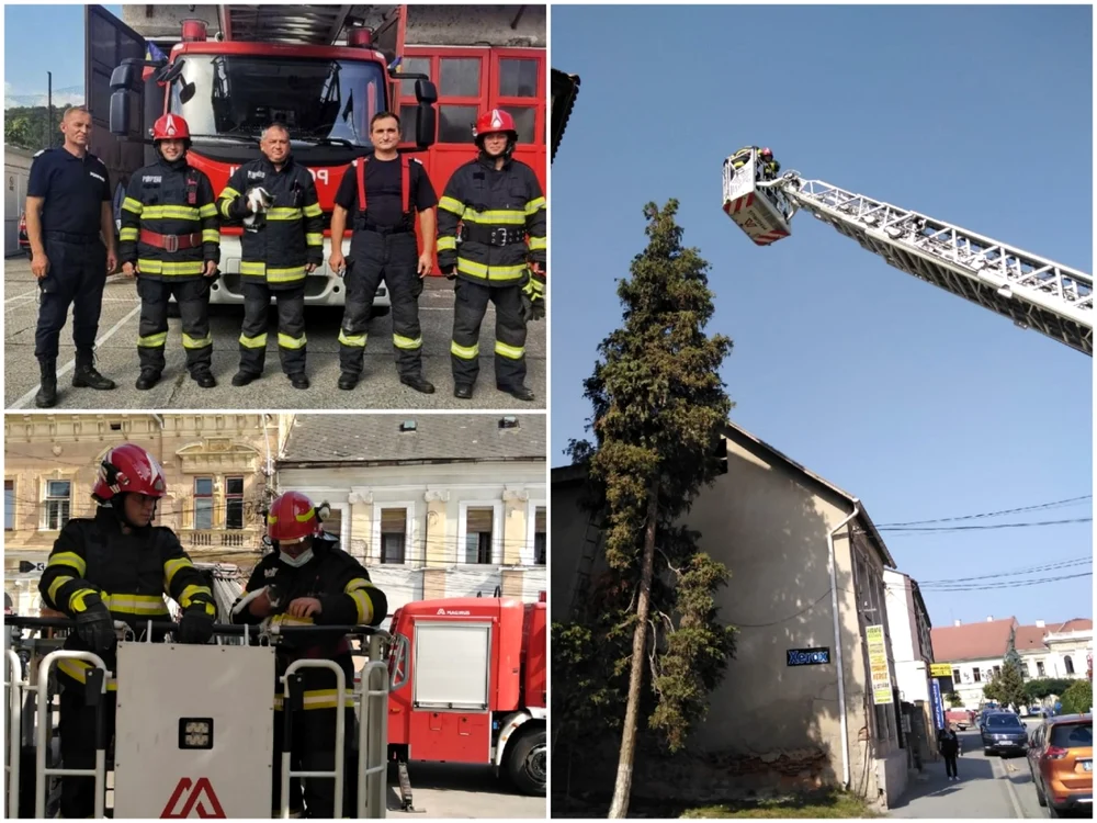 Pisica a fost adoptată de pompieri după ce a fost salvată Foto ISU Alba