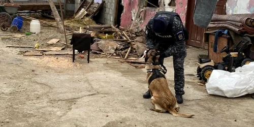 catun copii abandon scolar Suceava FOTO IPJ Suceava jpg