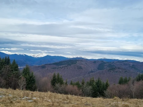 traseu turistic Foto: Asociația Montană Vidraru/Facebook (1) jpg