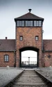 Lagărul de la Auschwitz (foto: Pixabay)
