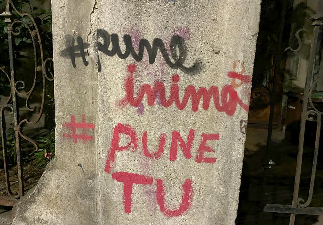 © M.Pleșu