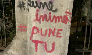 p 24 M  Plesu jpg