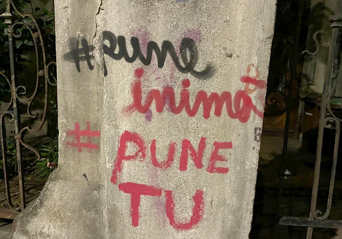 © M.Pleșu