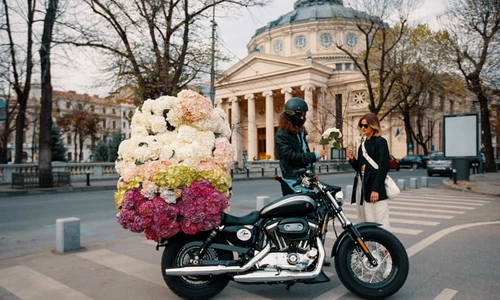 1 ep 4 hortensia 3 jpg jpeg