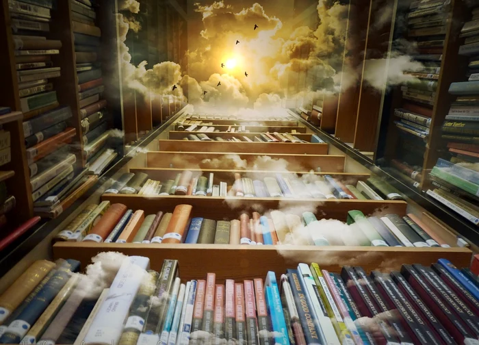 Bibliotecă / foto: Pixabay