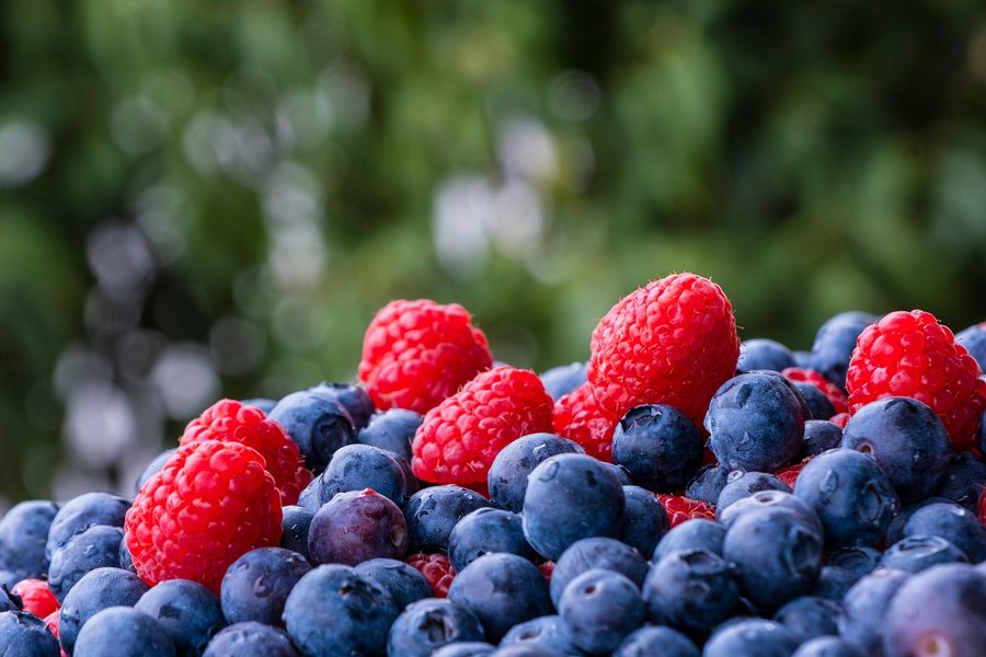 Salarii de până la 7.600 de lei la cules de fructe, lângă România. Cazare și trei mese gratuite