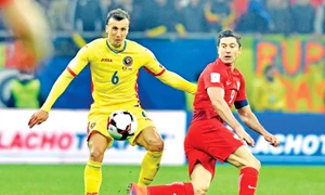 17 sport chiriches  rps5623sdghdfgh jpeg