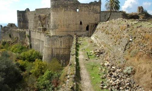 Cavalerii de la Margat jpeg