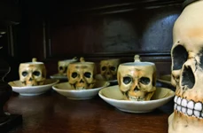 Serviciul de cafea cu ceşcuţe în formă de craniu (foto: Muzeul Național al Literaturii Române Iași)