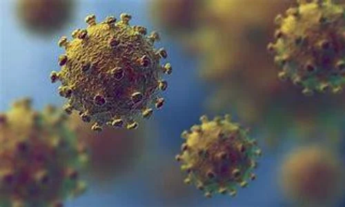 1 coronavirus poza jpg jpeg