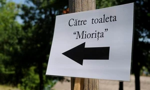 Cu ochii n 3,14 jpeg