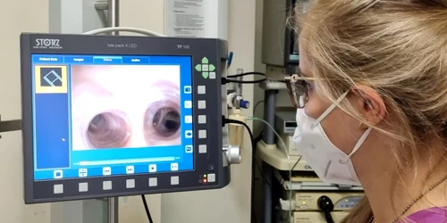 Spitalul Victor Babeş Timişoara