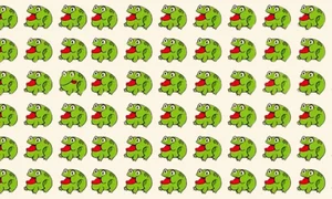 test jpg